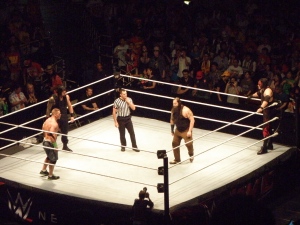 John Cena and Roman Reigns vs. Bray Wyatt and Kane